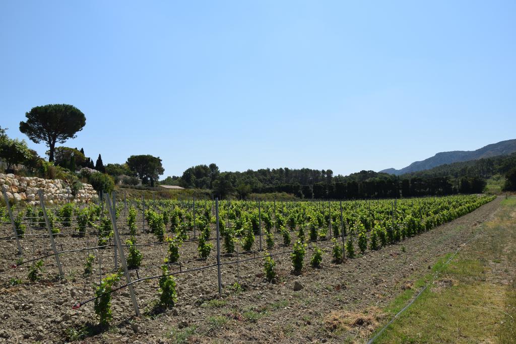 莱斯德梅提费特住宿酒店 Saint-Rémy-de-Provence 外观 照片