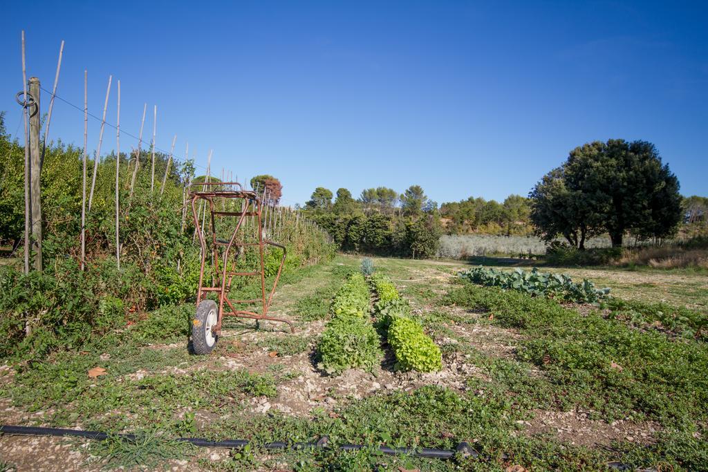 莱斯德梅提费特住宿酒店 Saint-Rémy-de-Provence 外观 照片